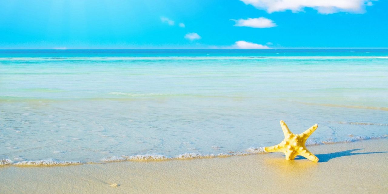 https://tthome.com.vn/wp-content/uploads/2020/07/starfish-sand-beach-sea-foam-landscape-1280x640.jpg